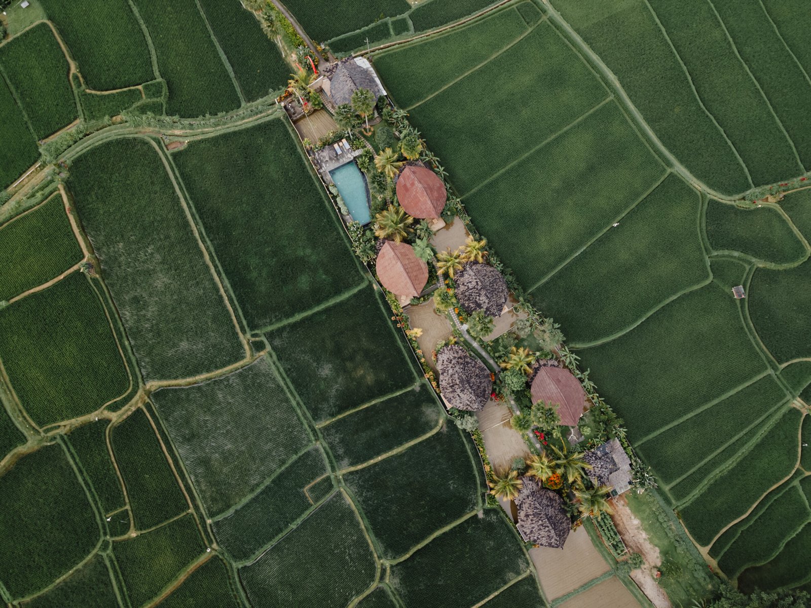 DJI_0722