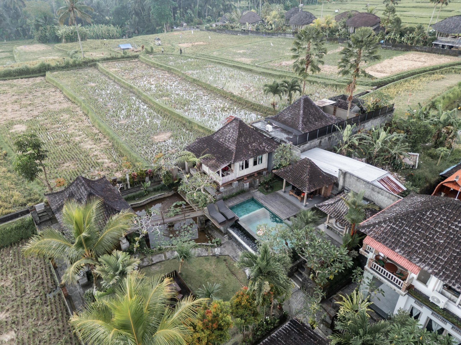 DJI_0946
