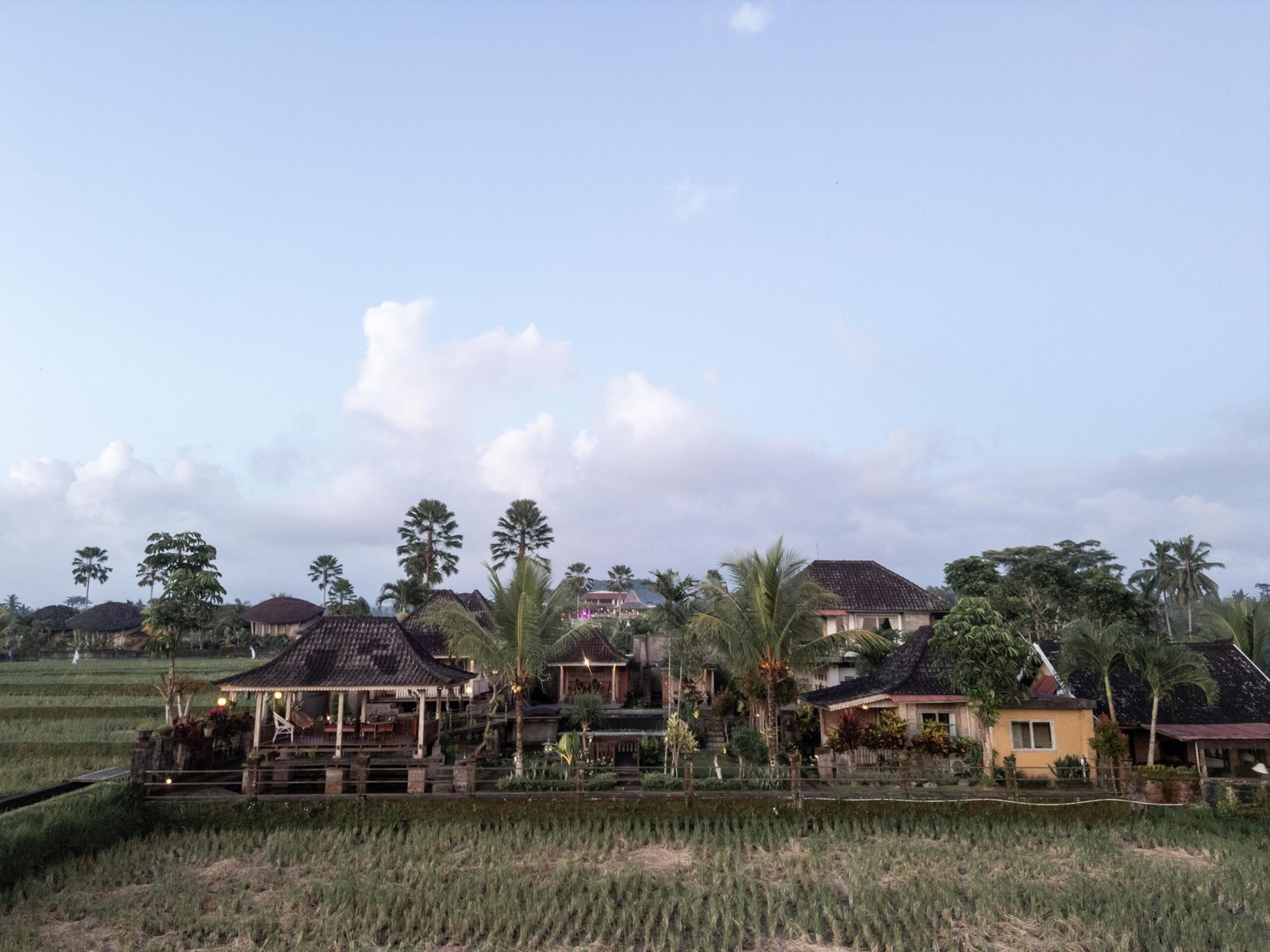 DJI_0950