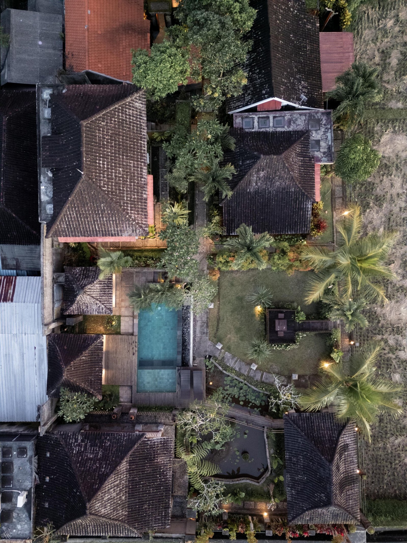 DJI_0955